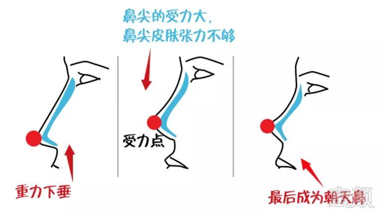 案例图片