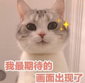 https://img.miyanlife.com/mnt/timg/190823/13132a362-1.jpg