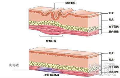 https://img.miyanlife.com/mnt/timg/190825/10550153b-2.jpg