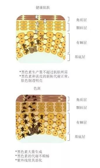 https://img.miyanlife.com/mnt/timg/190825/1145533953-0.jpg
