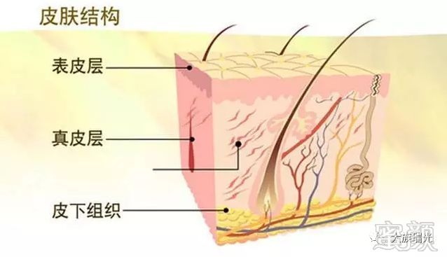 案例图片