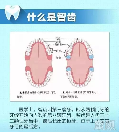 案例图片