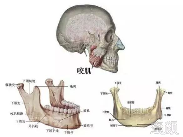 案例图片