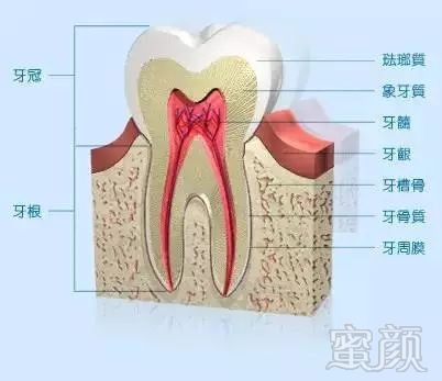 案例图片