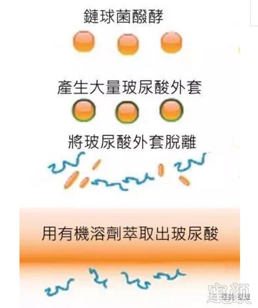 https://img.miyanlife.com/mnt/timg/190828/120ZKQ7-2.jpg