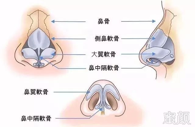 案例图片