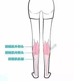 https://img.miyanlife.com/mnt/timg/190829/122T12141-9.jpg