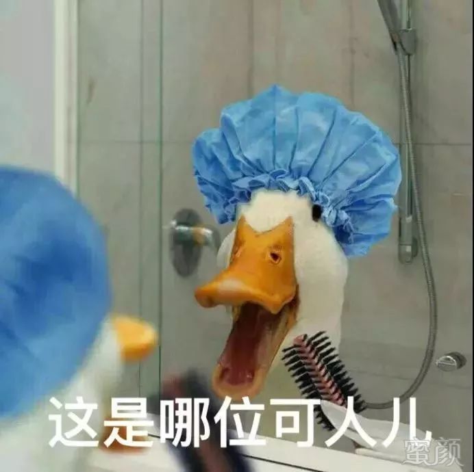 https://img.miyanlife.com/mnt/timg/190829/150Q5OK-0.jpg