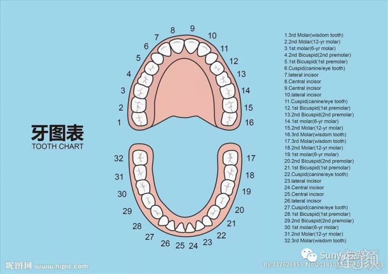 案例图片