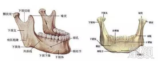 案例图片