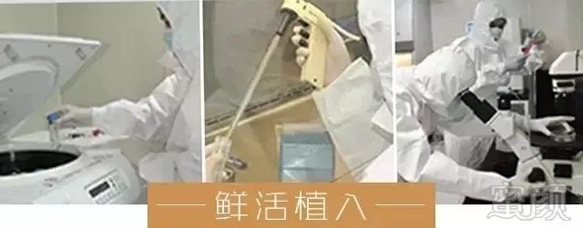 https://img.miyanlife.com/mnt/timg/190831/124H531N-10.jpg