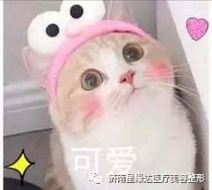https://img.miyanlife.com/mnt/timg/190831/125130NZ-0.jpg