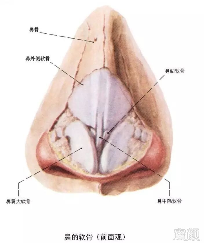 https://img.miyanlife.com/mnt/timg/190831/1320511363-3.jpg