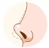 https://img.miyanlife.com/mnt/timg/190831/132054E35-8.jpg