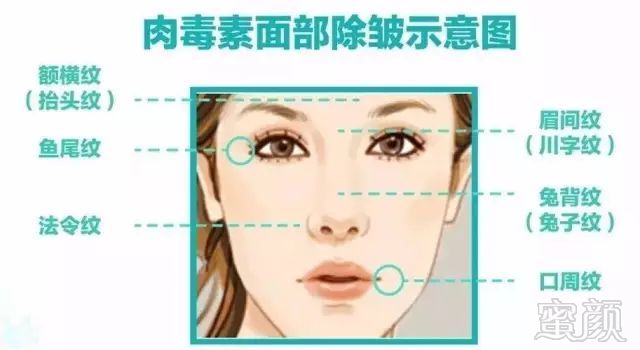 https://img.miyanlife.com/mnt/timg/190901/1032041358-6.jpg