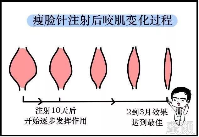 案例图片