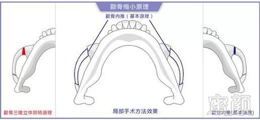 https://img.miyanlife.com/mnt/timg/190901/12451550G-7.jpg