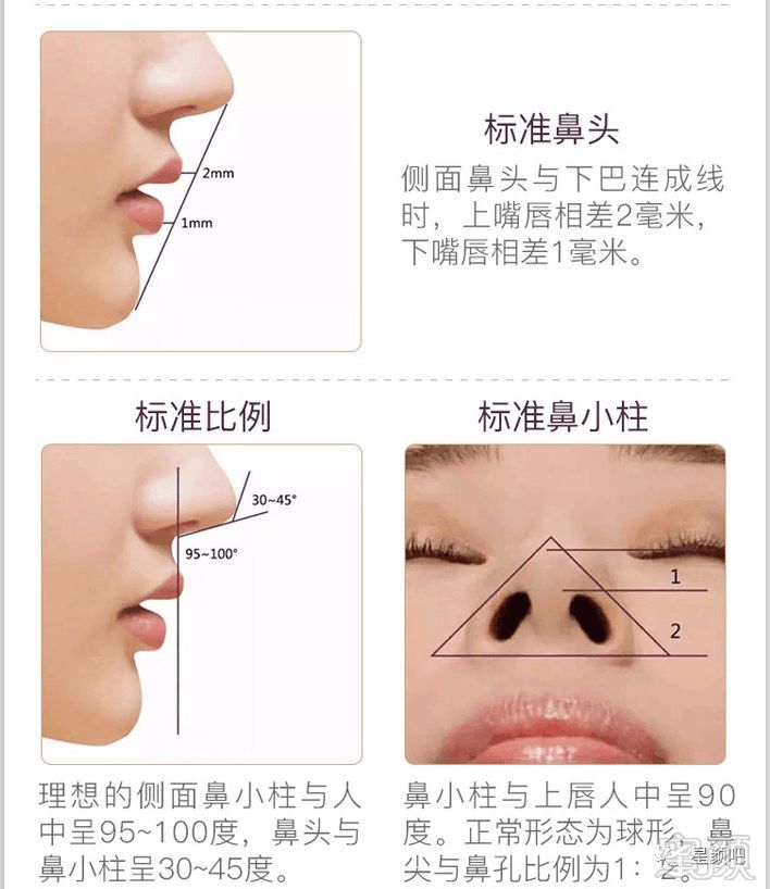 https://img.miyanlife.com/mnt/timg/190901/13063RC8-2.jpg