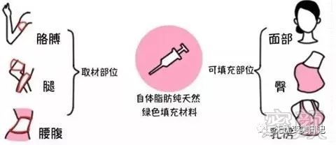 https://img.miyanlife.com/mnt/timg/190903/123PLN9-1.jpg