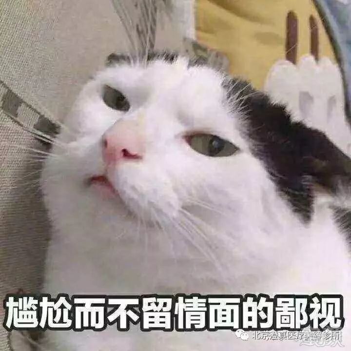 https://img.miyanlife.com/mnt/timg/190903/12523K5U-6.jpg