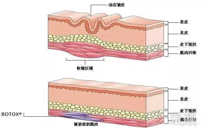 https://img.miyanlife.com/mnt/timg/190903/14144054K-1.jpg