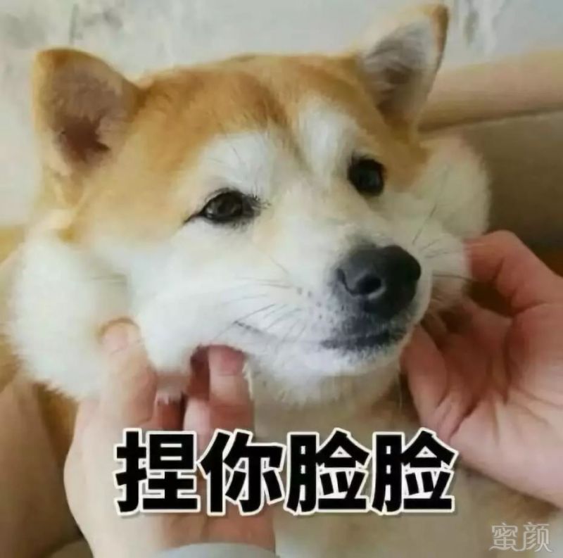https://img.miyanlife.com/mnt/timg/190904/1330231046-1.jpg