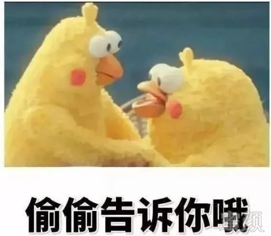 https://img.miyanlife.com/mnt/timg/190906/19114L9D-0.jpg