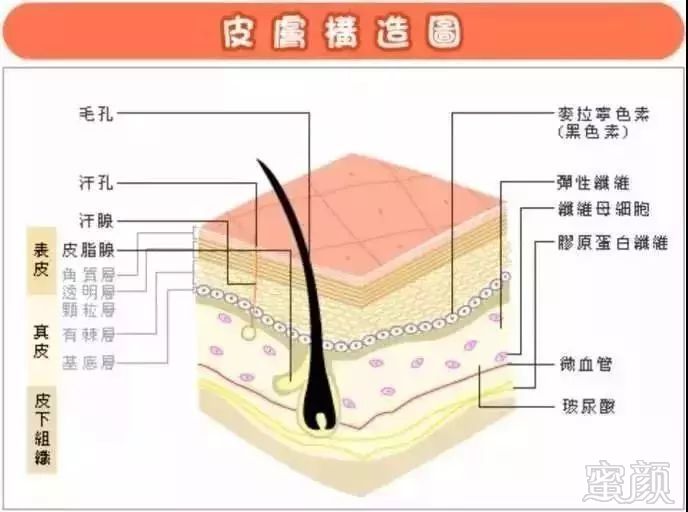 https://img.miyanlife.com/mnt/timg/190906/1ZZA391-4.jpg
