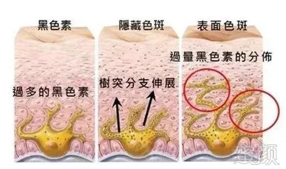 https://img.miyanlife.com/mnt/timg/190907/123G51155-1.jpg