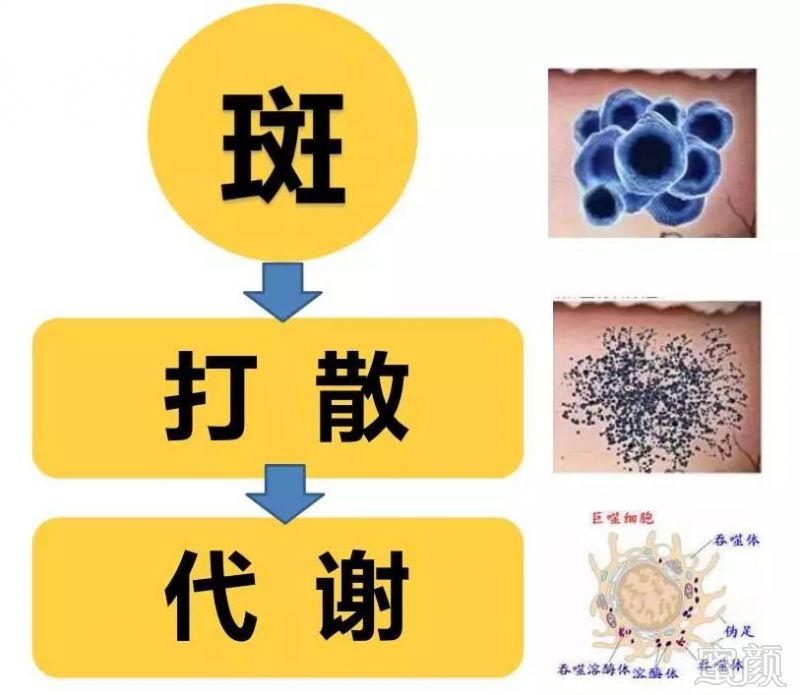 https://img.miyanlife.com/mnt/timg/190907/123GA4a-3.jpg