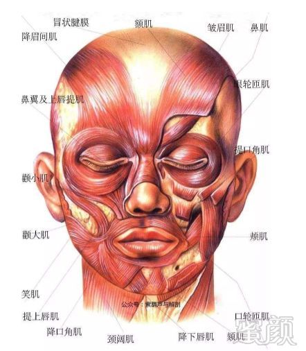 https://img.miyanlife.com/mnt/timg/190908/131054AZ-4.jpg