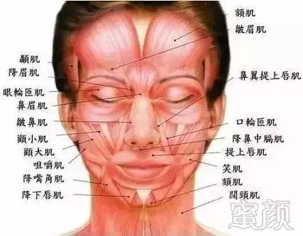 https://img.miyanlife.com/mnt/timg/190908/13105BO3-9.jpg