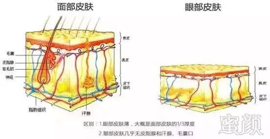 案例图片