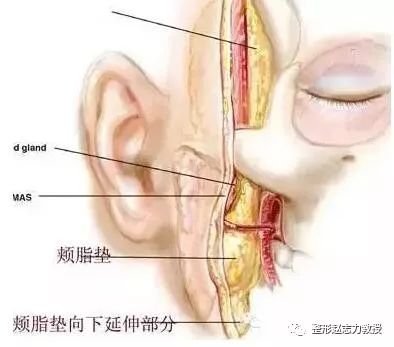 案例图片