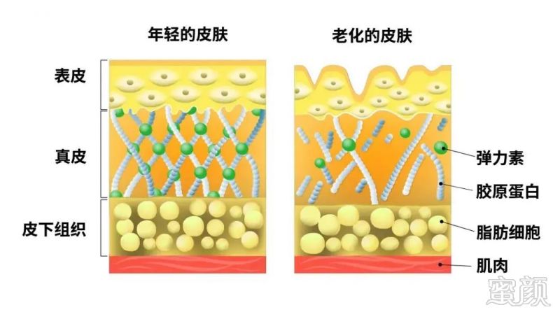 案例图片