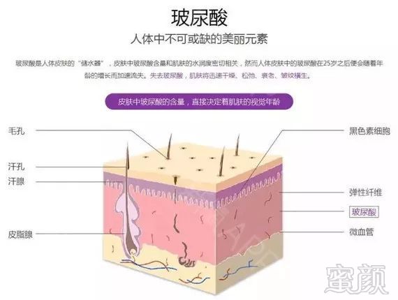 案例图片