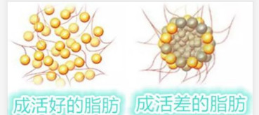 https://img.miyanlife.com/mnt/timg/190917/15134Q444-6.jpg