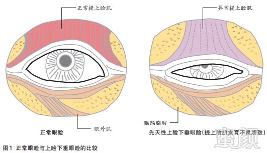 案例图片