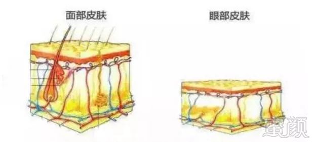 案例图片