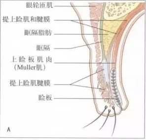 案例图片