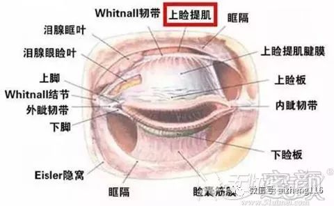 https://img.miyanlife.com/mnt/timg/190918/160914E40-0.jpg