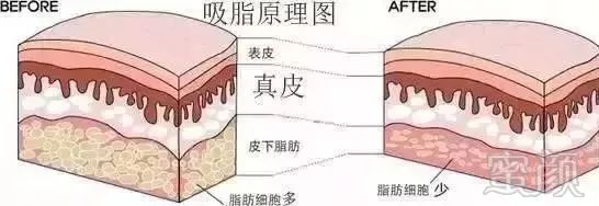 https://img.miyanlife.com/mnt/timg/190918/160Z26340-8.jpg