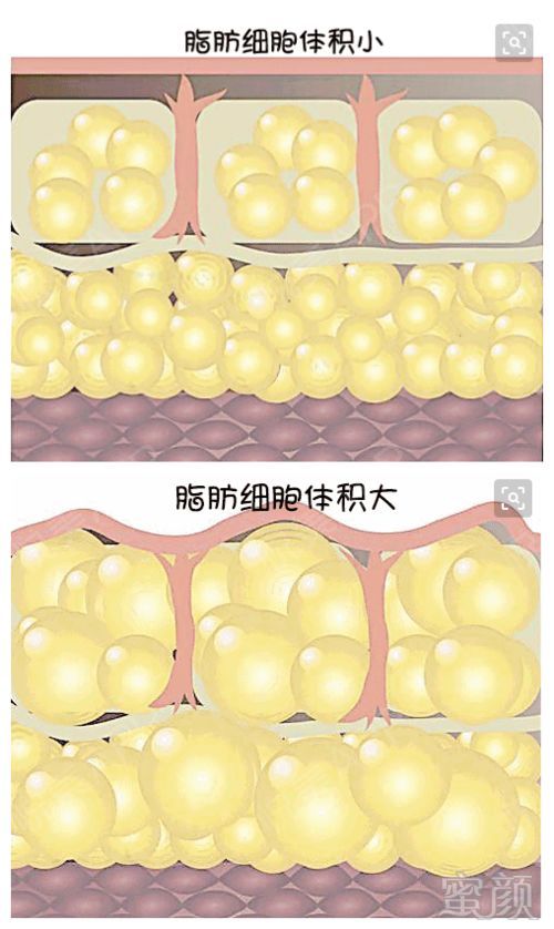https://img.miyanlife.com/mnt/timg/190919/1KG92508-5.jpg