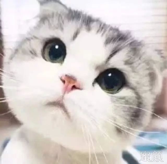https://img.miyanlife.com/mnt/timg/190919/1Q14I311-0.jpg