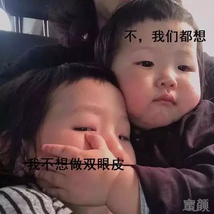 案例图片