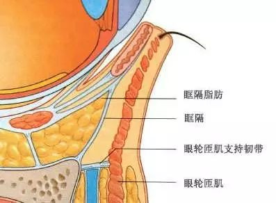 案例图片