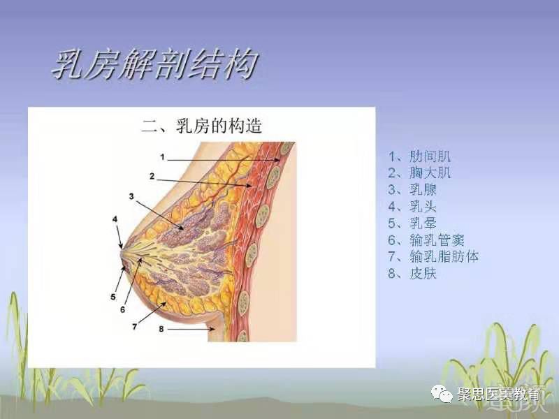 临床体系 乳房轻中重度下垂 双平面 的矫正术 蜜颜整形优惠