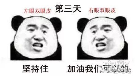 案例图片