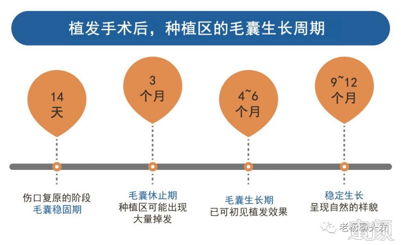 案例图片