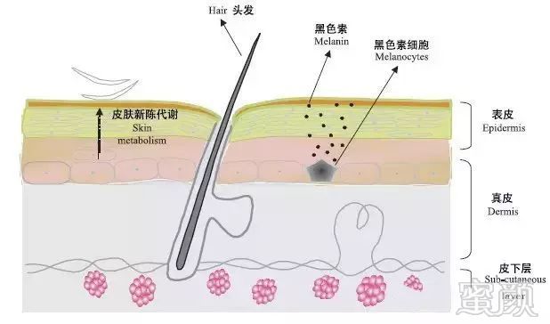 https://img.miyanlife.com/mnt/timg/190928/13260W346-1.jpg